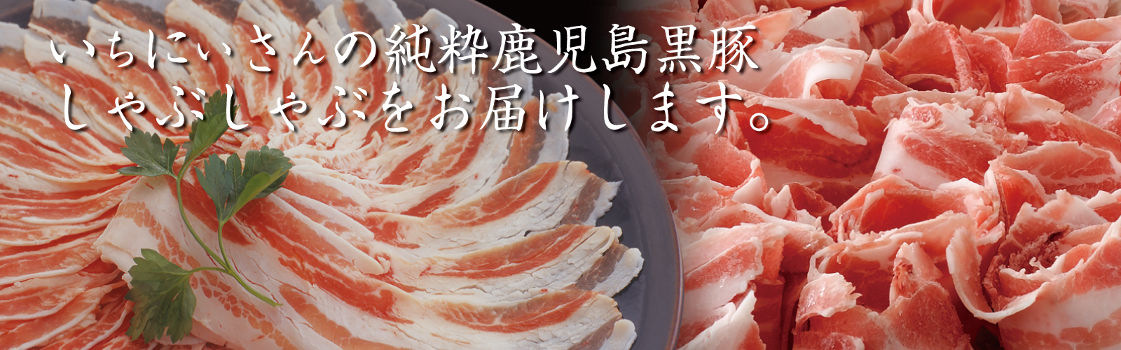 フェニックス オンラインショップ
